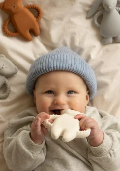 New Beißring Bär Zahnungshilfen|Beruhigung