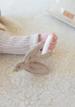 Online Beissring Vogel Zahnungshilfen|Beruhigung