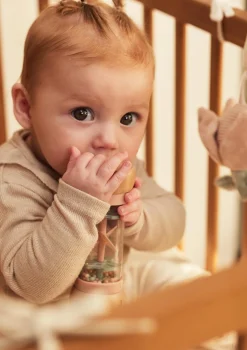 Holz Regenmacher '' Lernspielzeug|Holzspielzeug