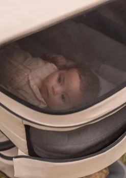 Clearance Kinderwagen-Set 'Jimmey Explore' Kinder Kinderwagen|Kinderwagen-Sets