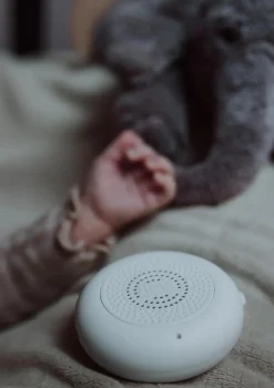 Online Kuscheltier Elefant mit Herzschlag 'George' grau Kinder Kuscheltiere|Beruhigung