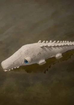 Best Kuscheltier '' Kuscheltiere